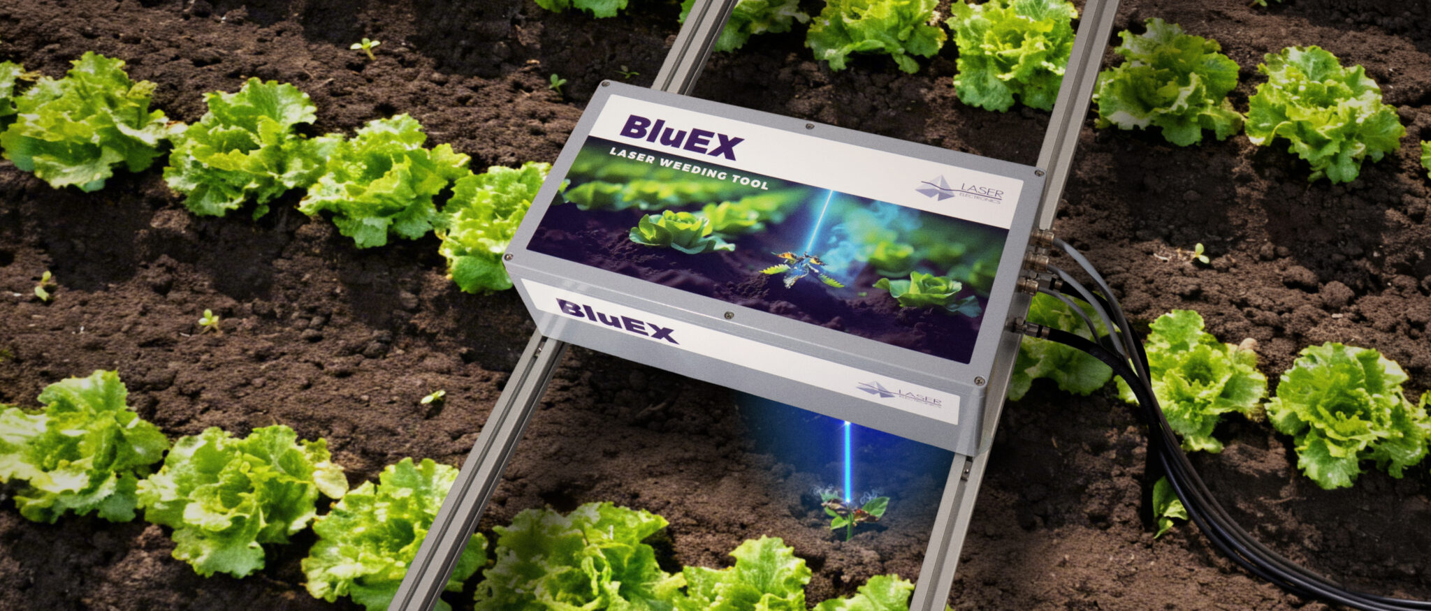 BluEX-laser-weeding-tool-laser-electronics-gmbh-Einsatz im Feld