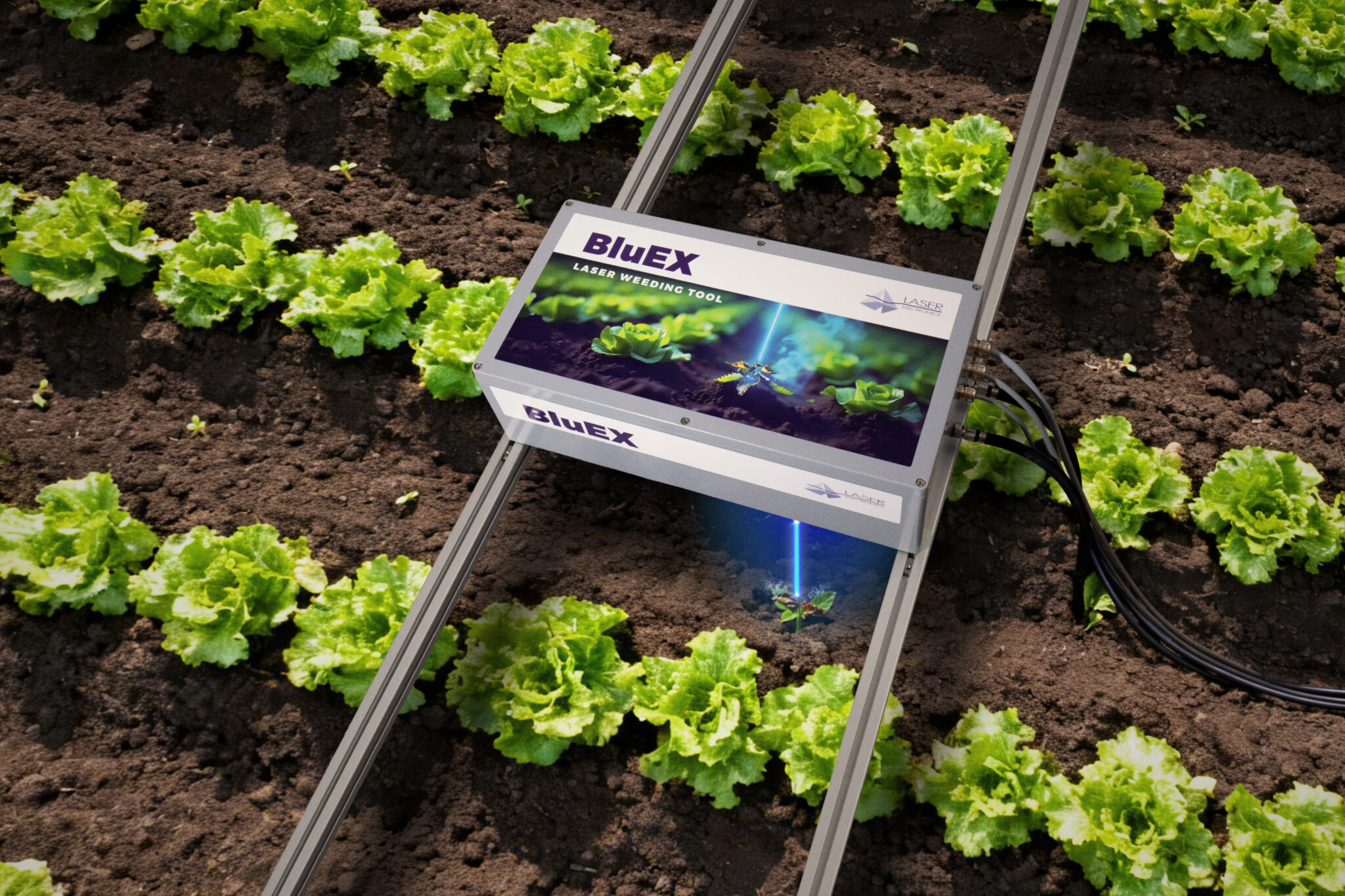 BluEX-laser-weeding-tool-laser-electronics-gmbh-Einsatz im Feld